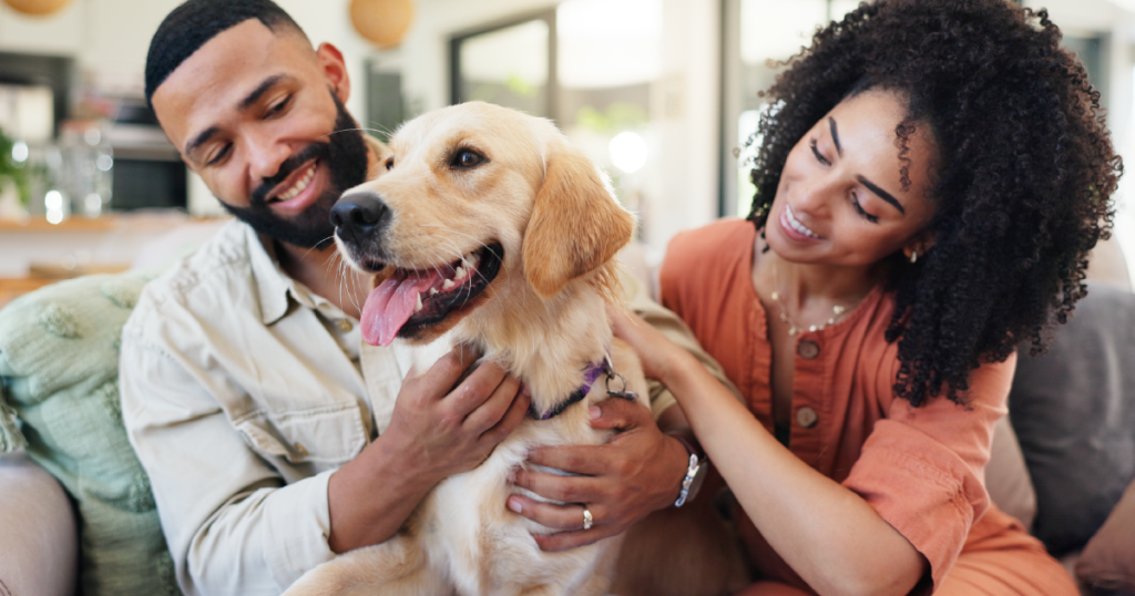 renters insurance