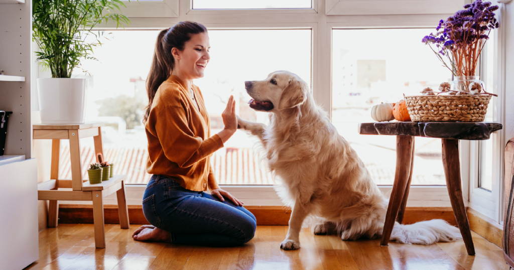 condo owners know your rights